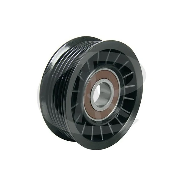 Polia do Tensor Alternador - RANALLE R4395