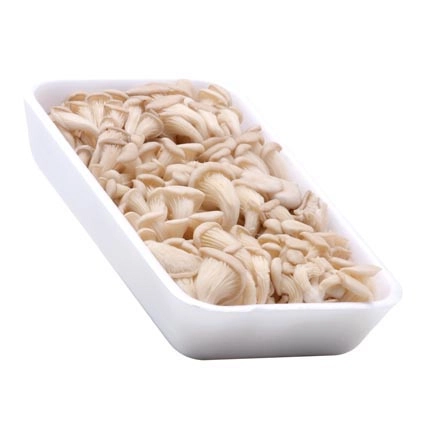 Sac Cogumelo Kentisa 200g Shimeji Branco