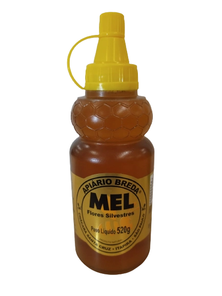 Mel Silvestre 520g Apiario Breda