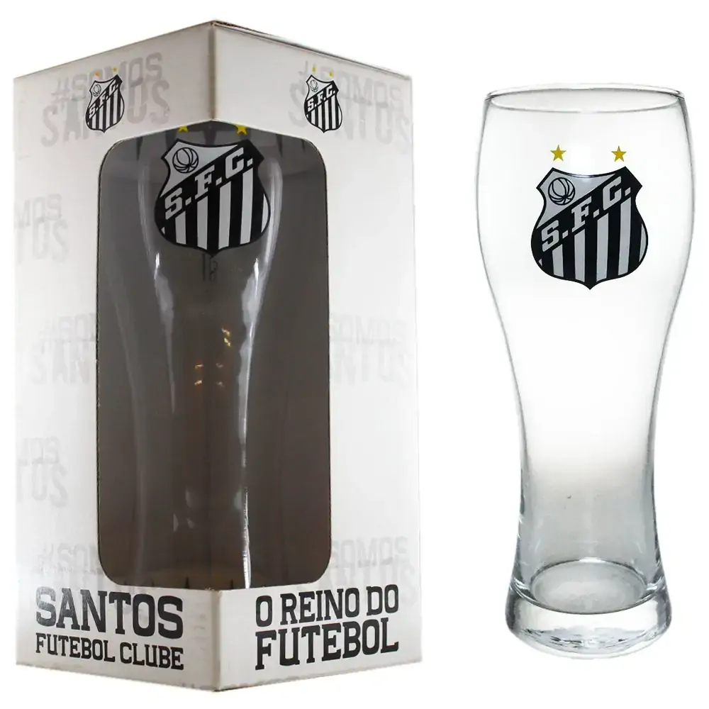 Copo Joinville Santos