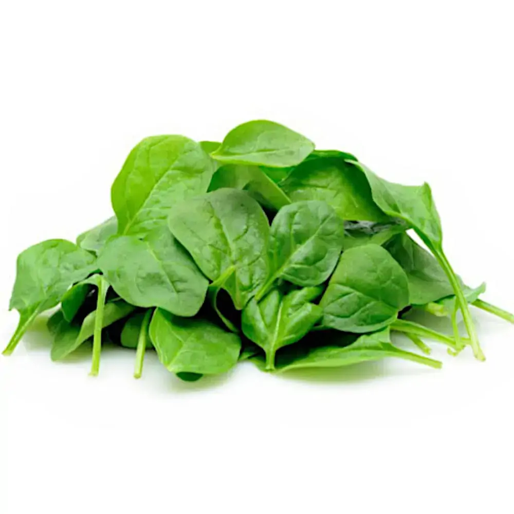 Espinafre Camilo Verduras Un