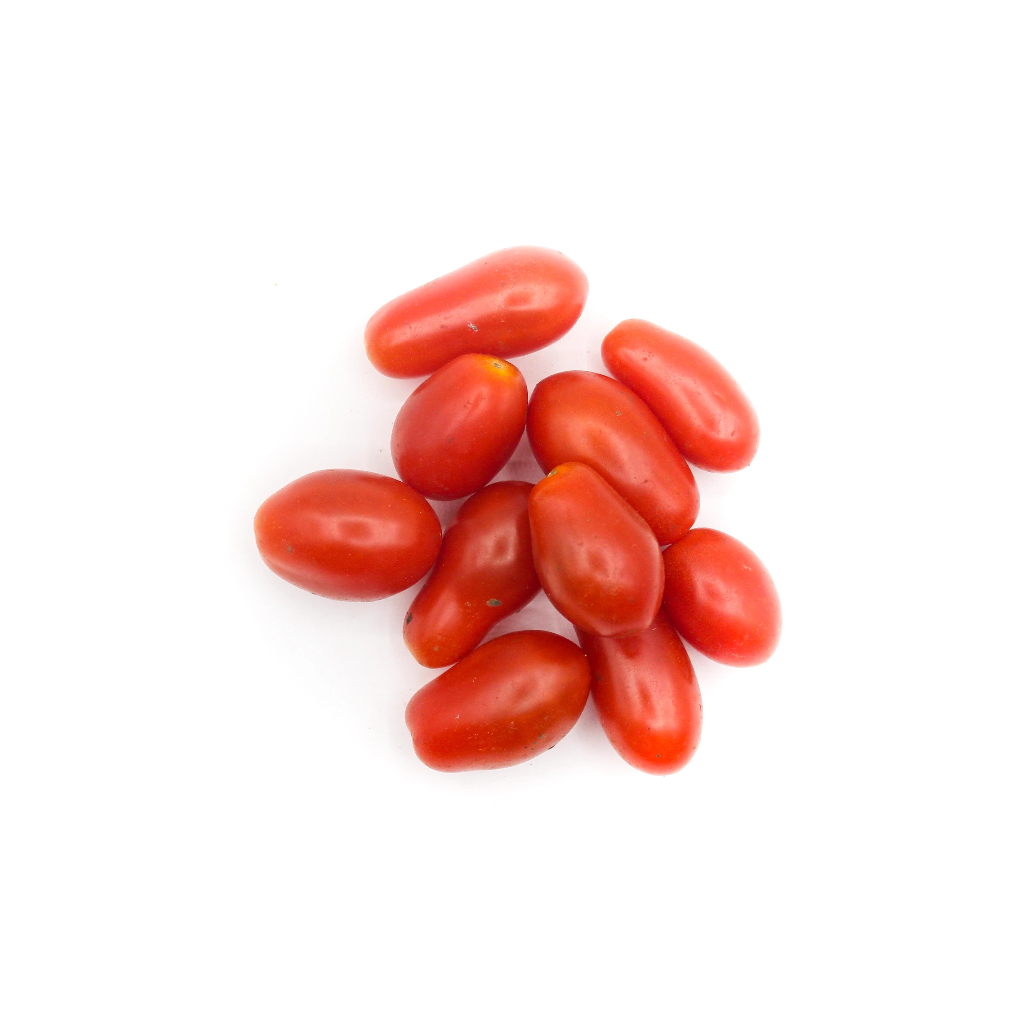 Green Tomate Mini Mascote
