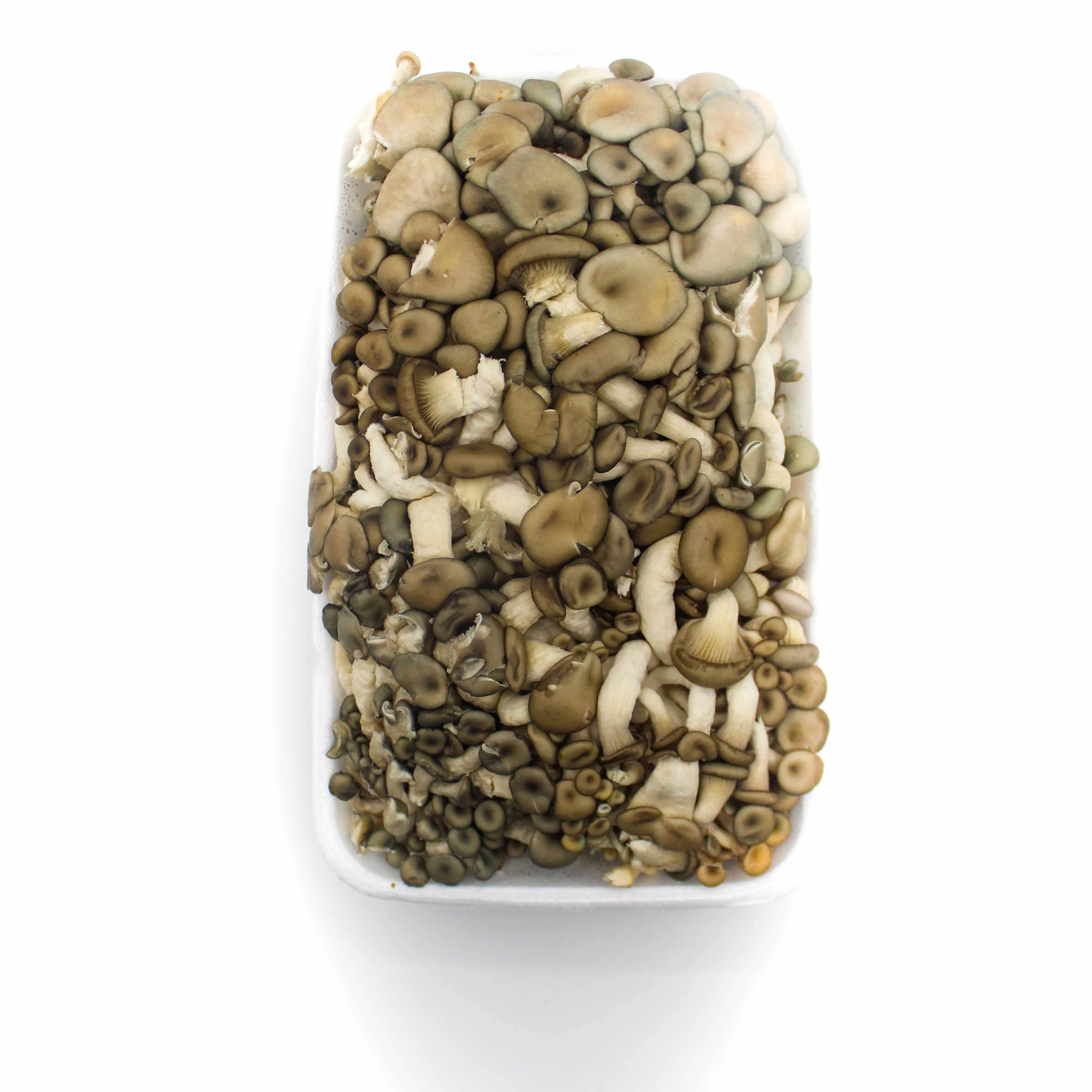 Cogumelo Select Green 200g Shimeji Escuro