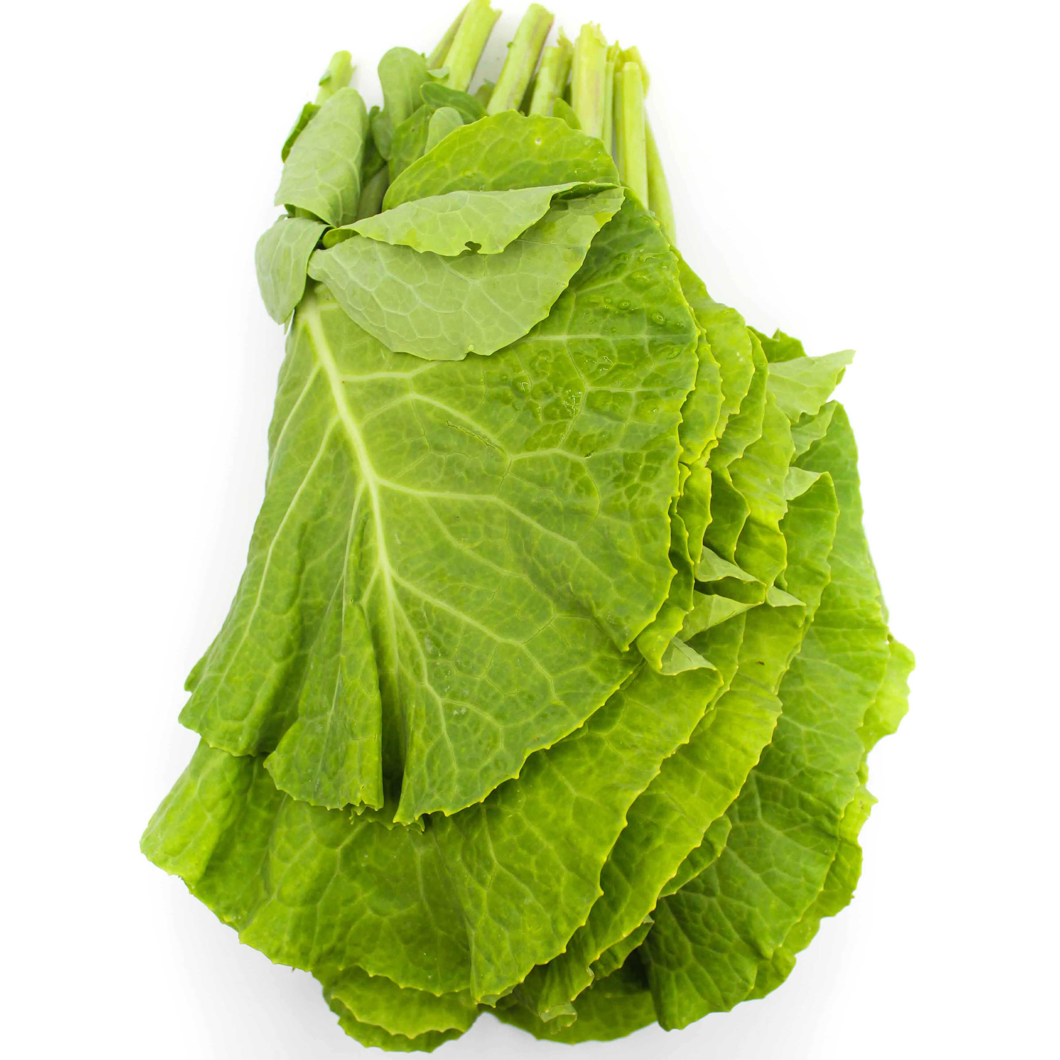 Green Salada Familia Hort Variados