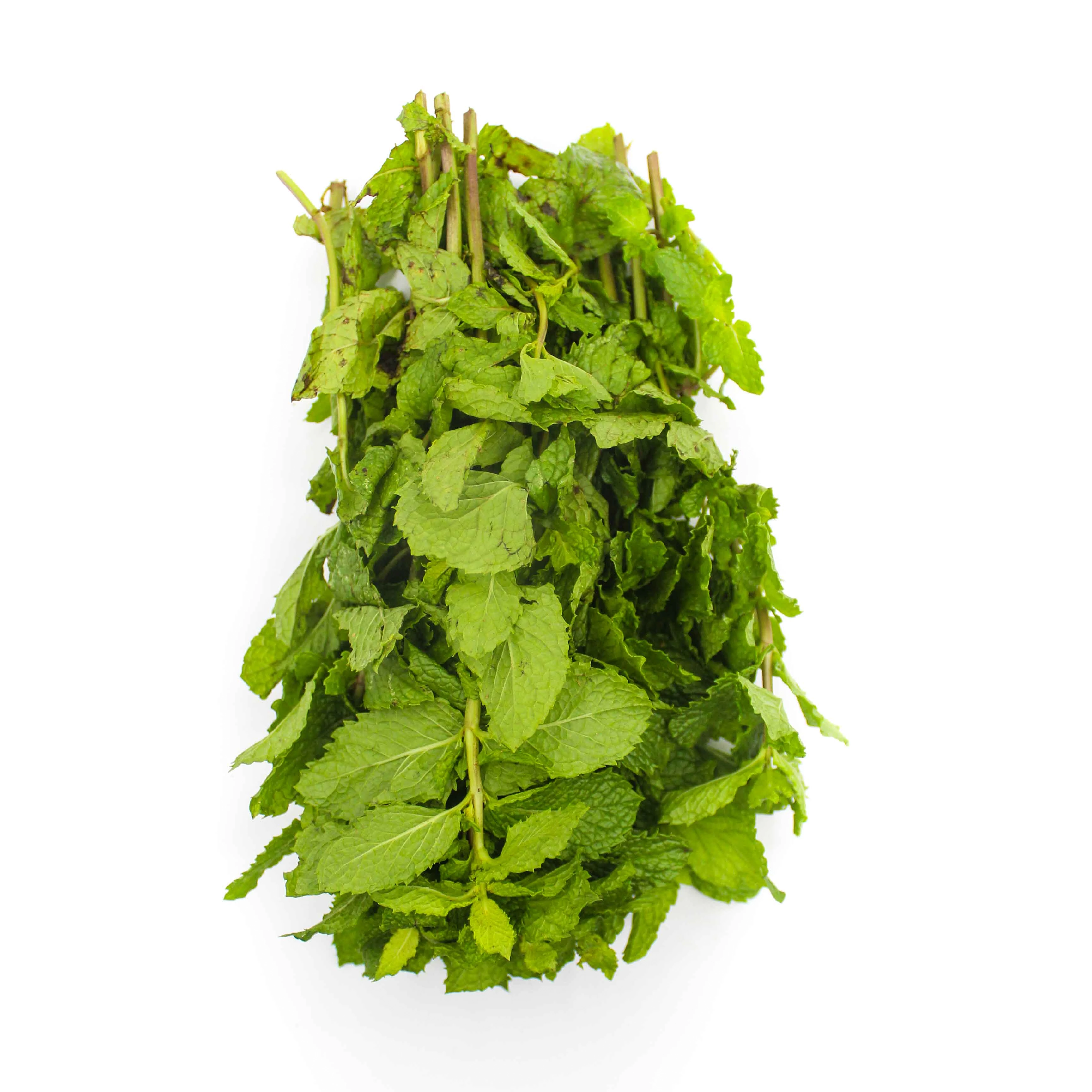 Green Tempero Hortela