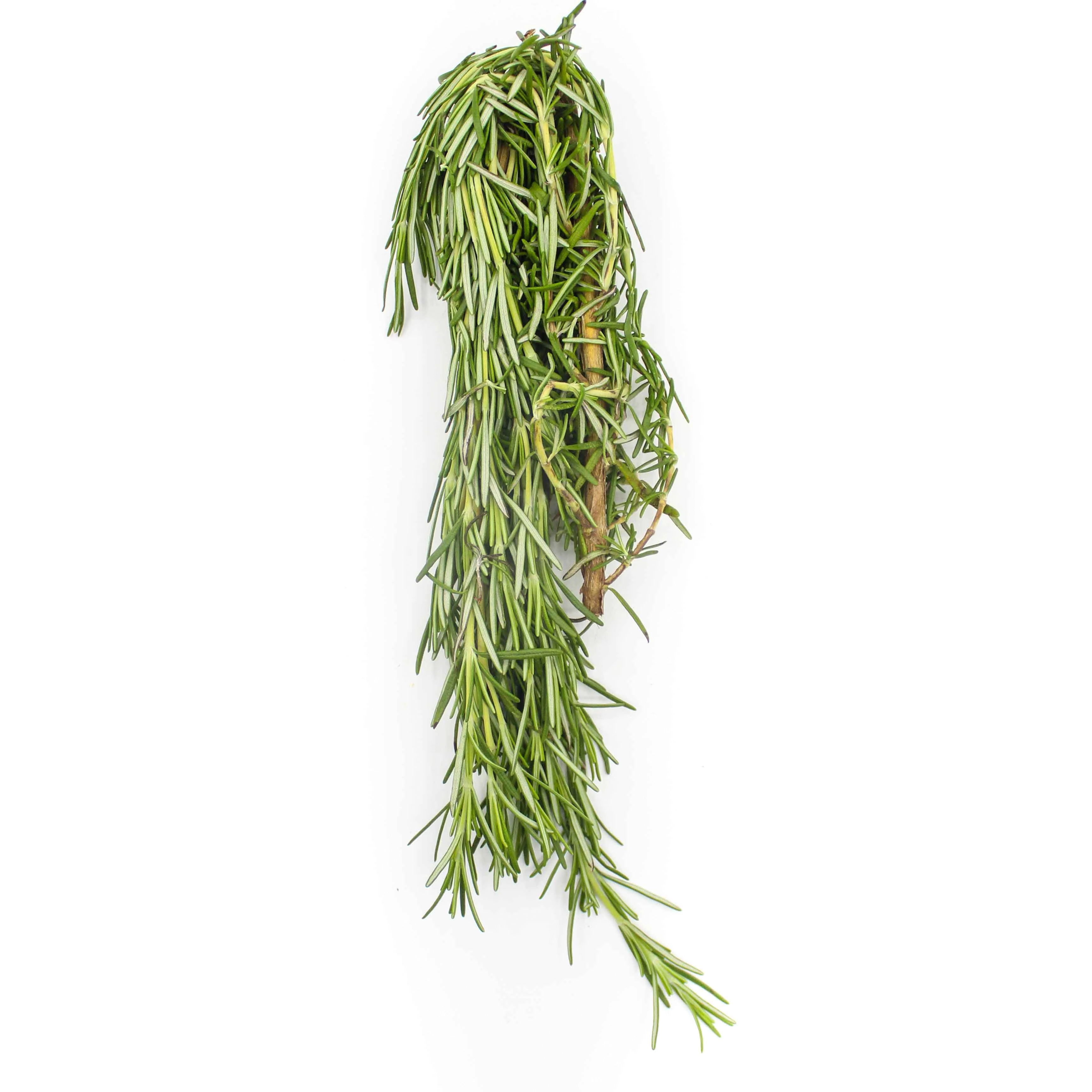 Green Alecrim Maco