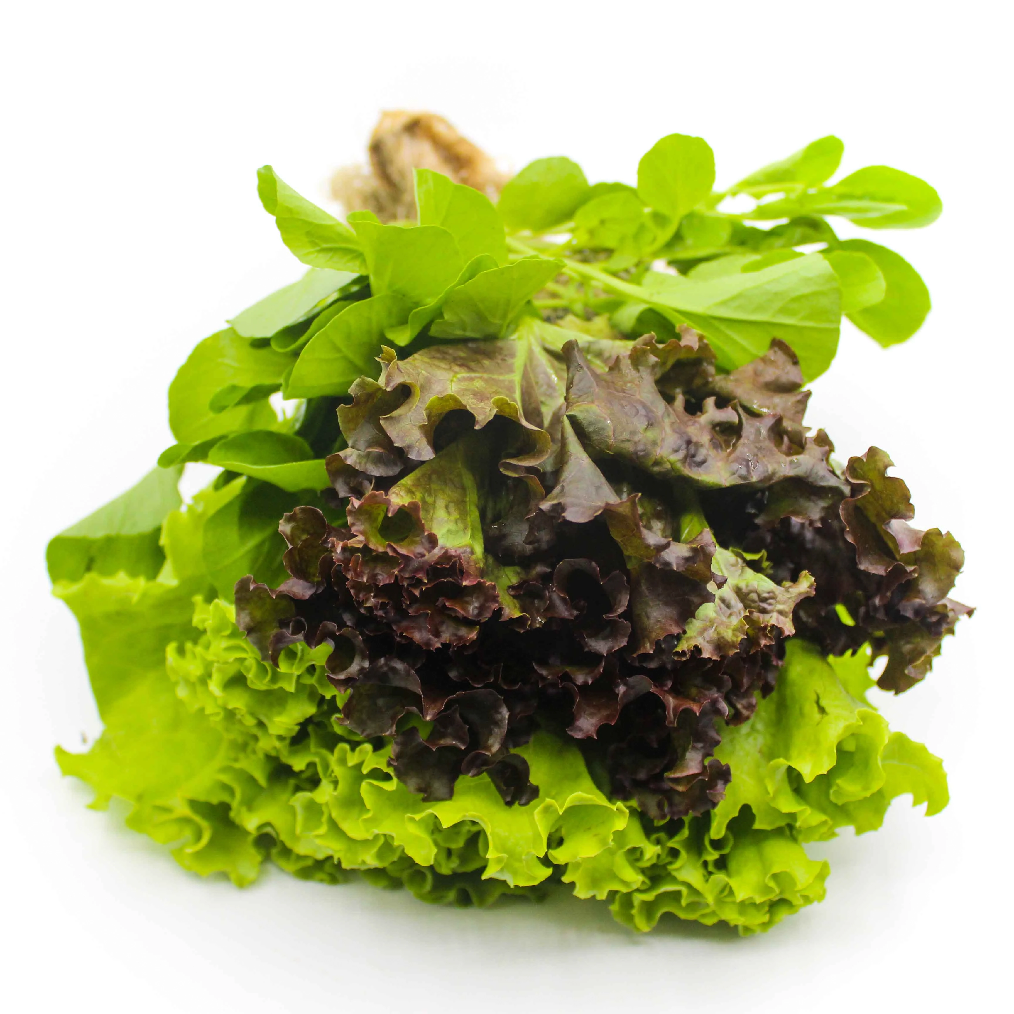 Green Salada Familia Hort Variados