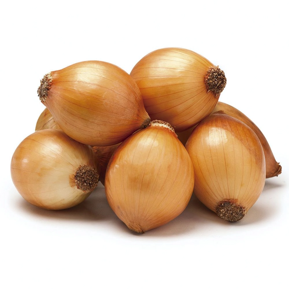 Cebola Pirulito Dc 1kg