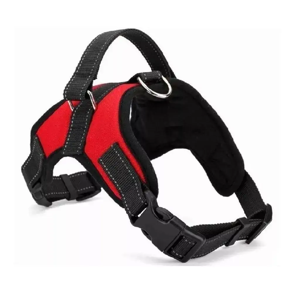 Coleira Nylon /3