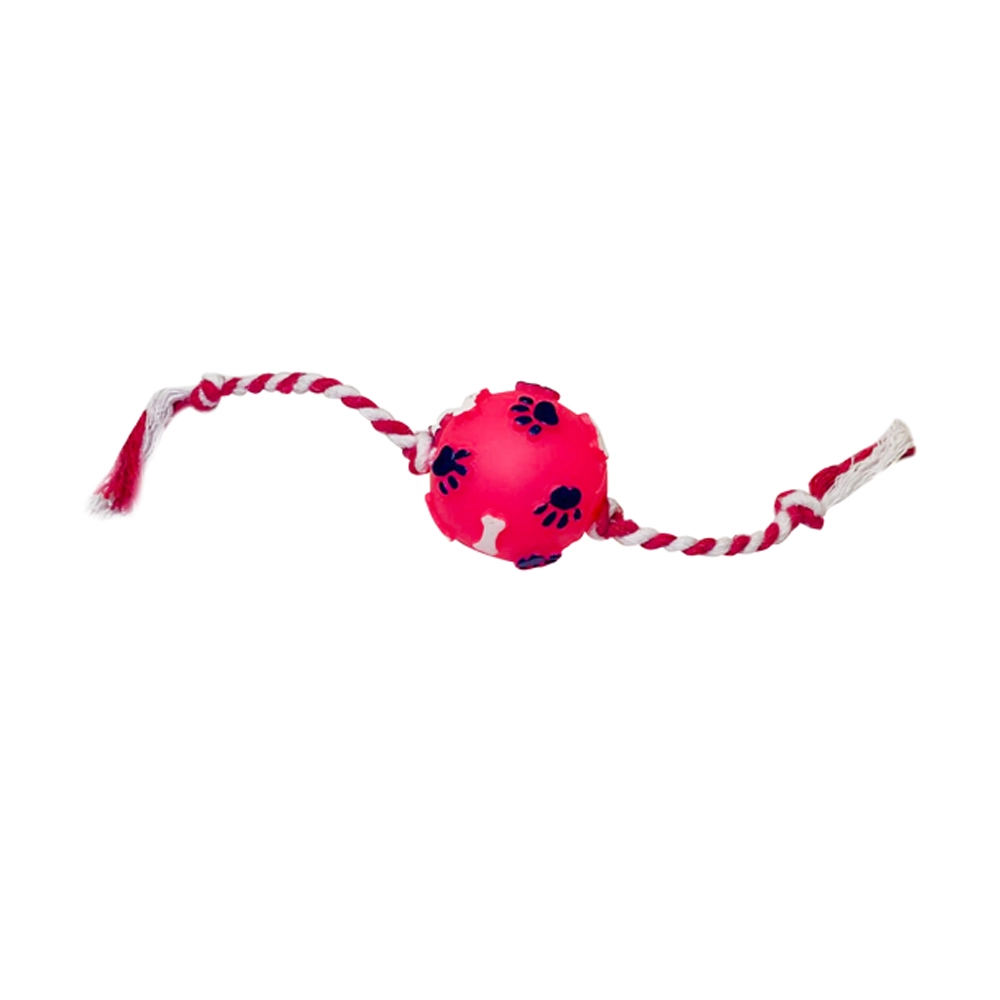 Bola Pata Osso Mini Color Com Corda