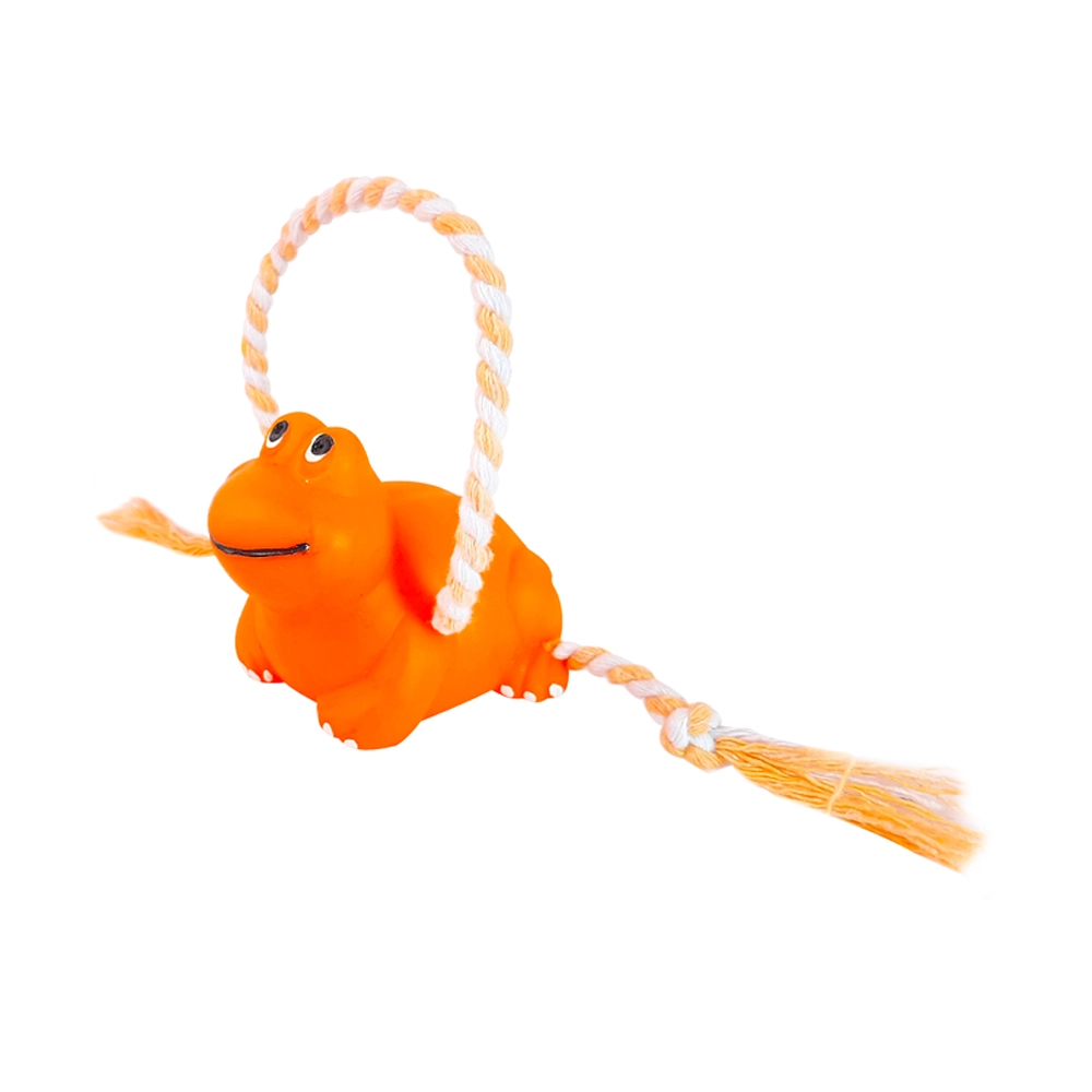 Sapo Com Corda