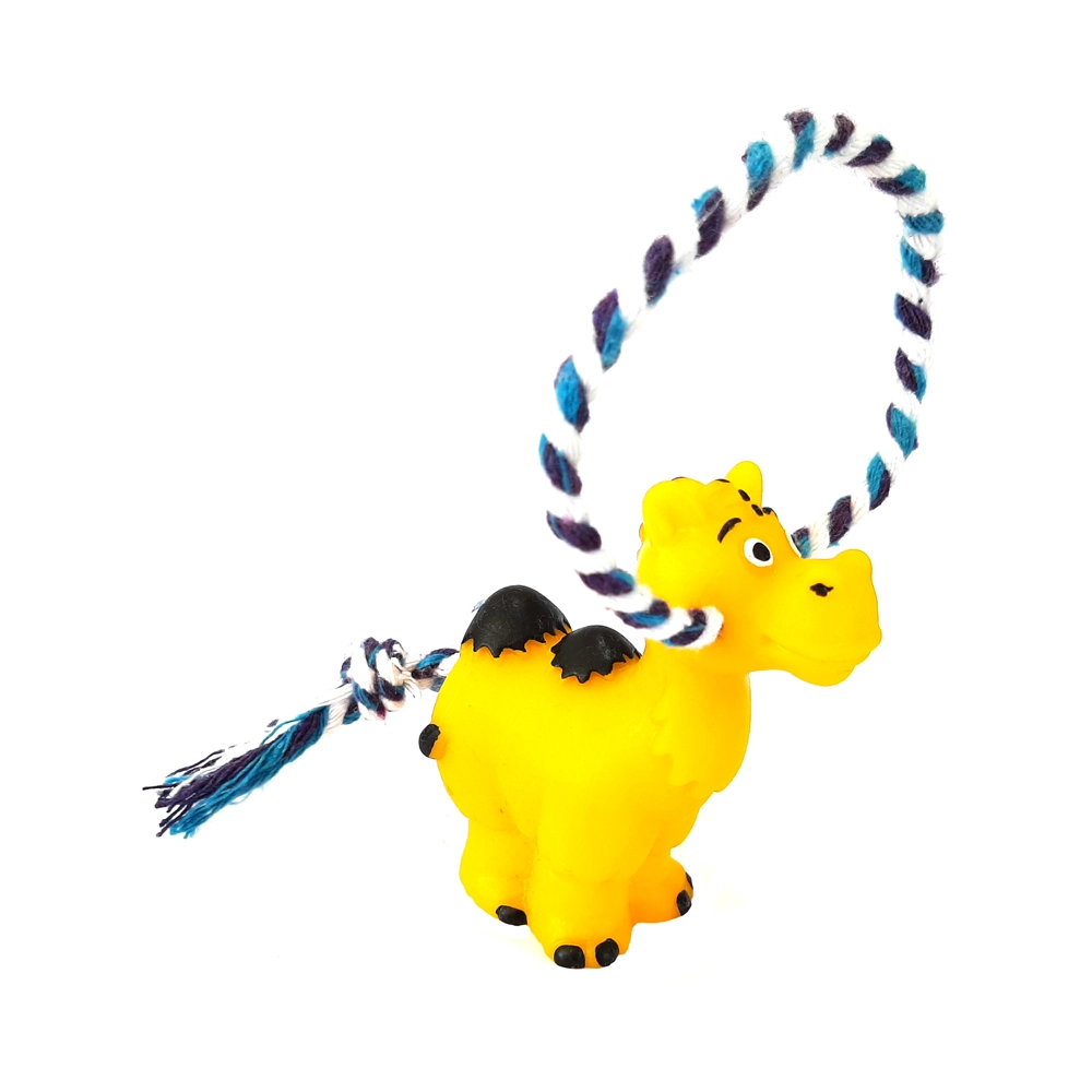 Zoo Camelo Com Corda
