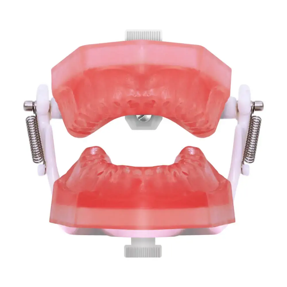 Manequim de Endodontia PD 107 - Pronew