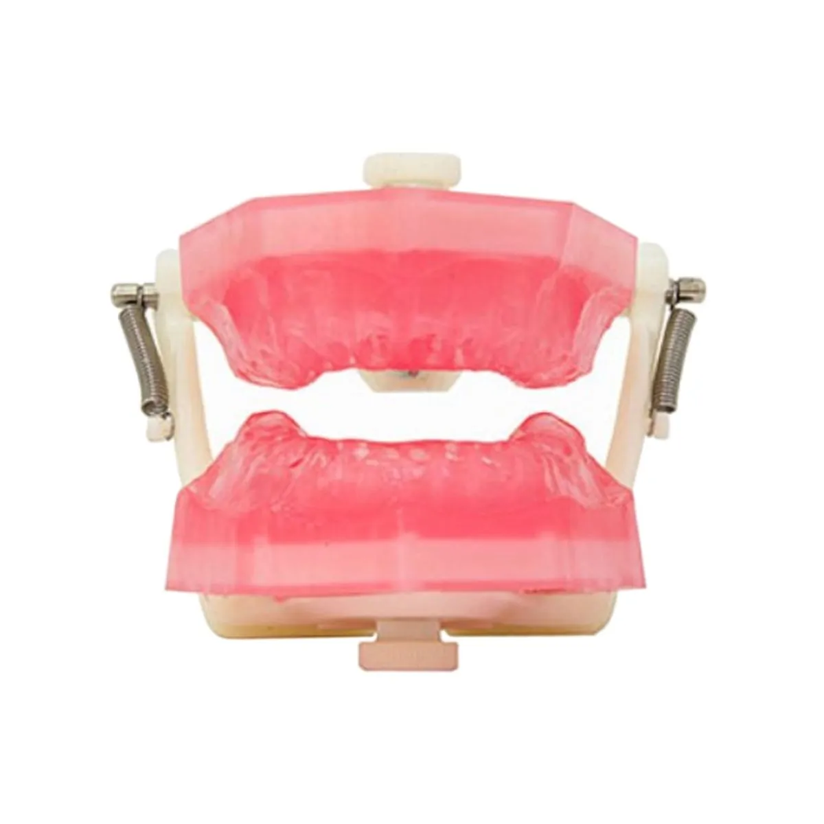Manequim de Endodontia PD107 - Pronew