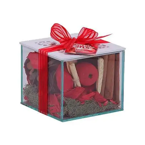 Nat Gifts Aromatiz Aquario Quadrado Apple