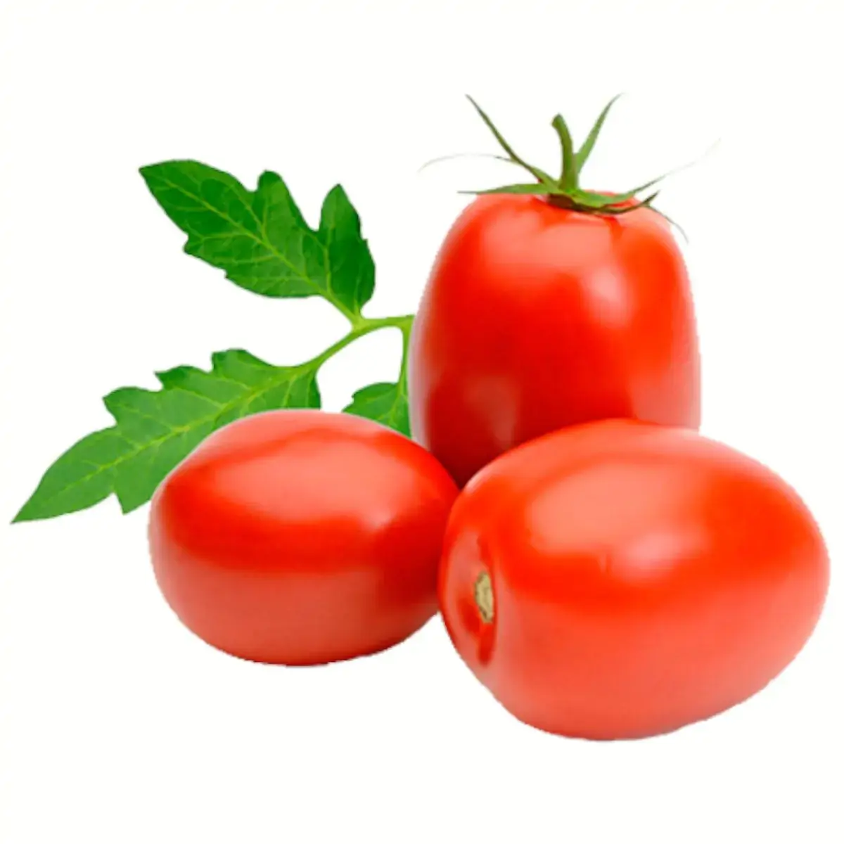 Tomate Salada Organico Stb 500gr