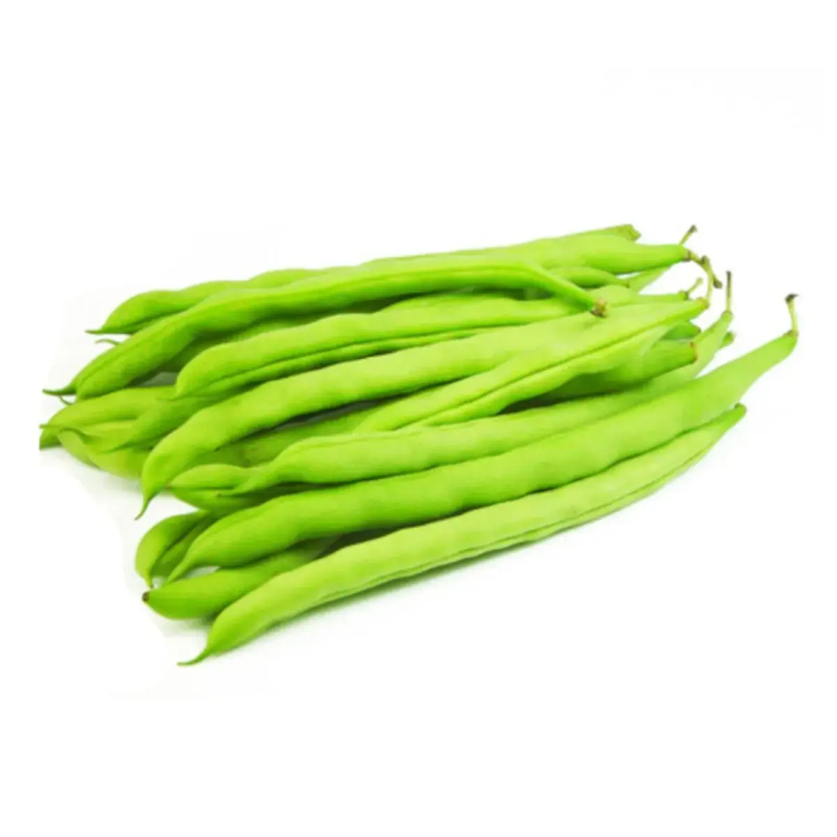 Vagem Org Stb 300gr