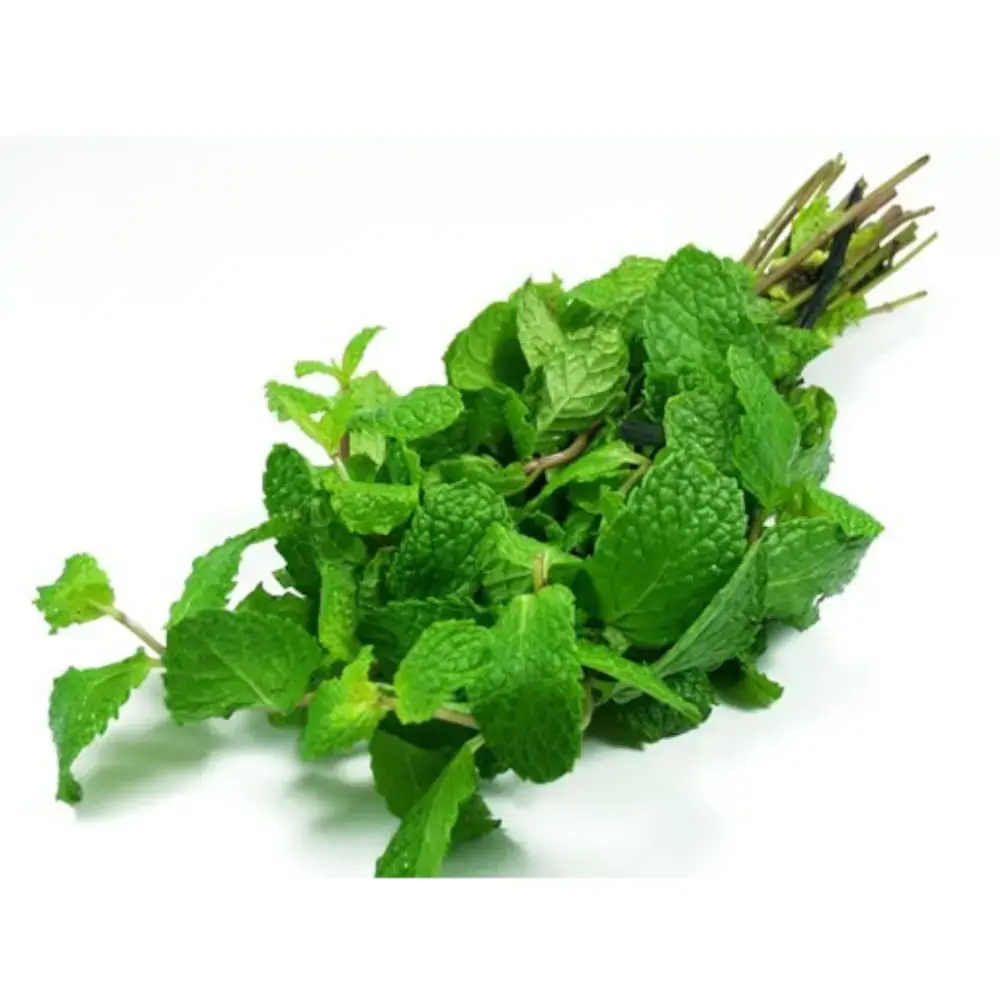 Hortela Org Vida Natur