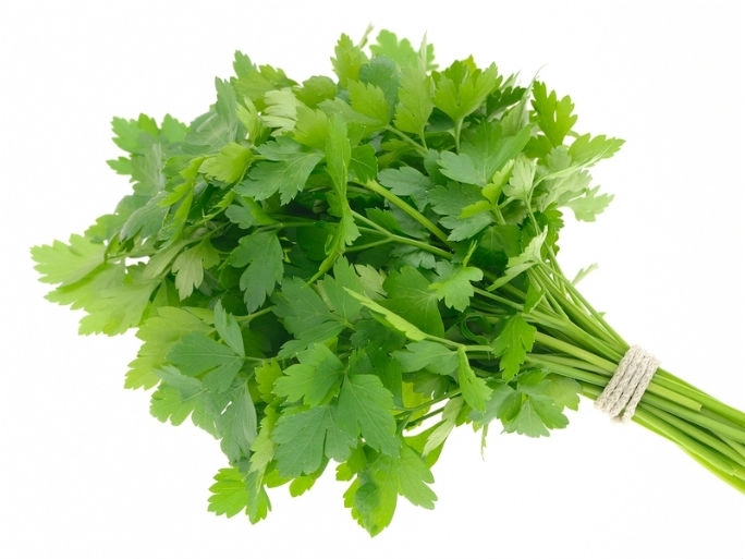 Salsa Mç .
