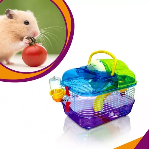 Gaiola American Pets Para Hamsters Super Luxo