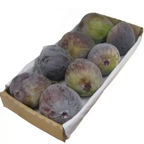 Figo Roxo Caixeta