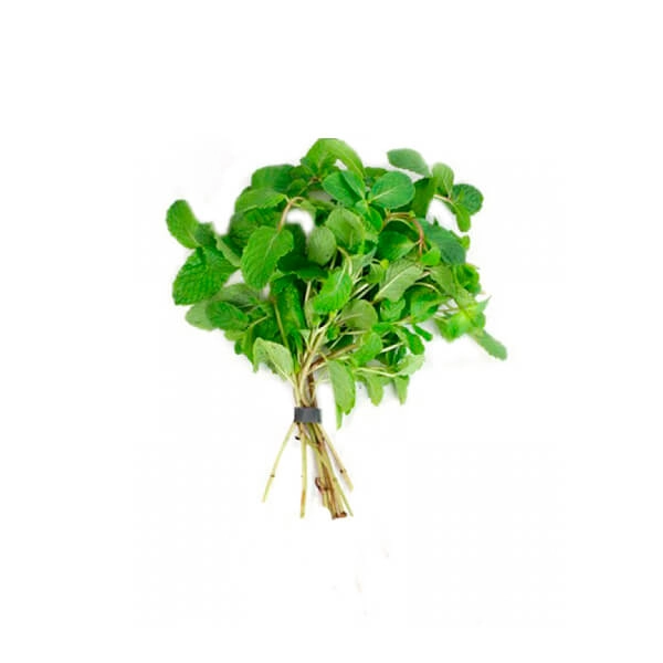 Hortela Unidade