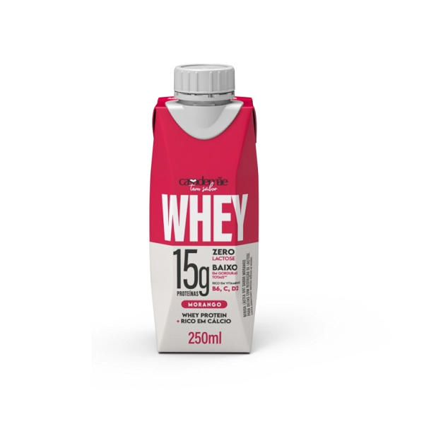 Beb Lactea Casa De Mae Whey Protein 15g Morango 250ml