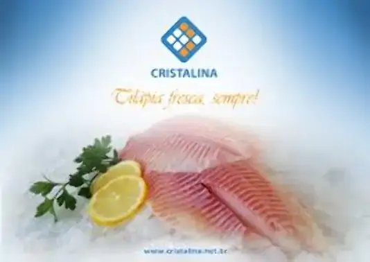File Tilapia Cristalina 400g Cong