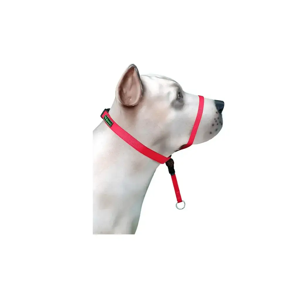 Coleira Cabresto Cor Vermelho K9 Spirit 1un