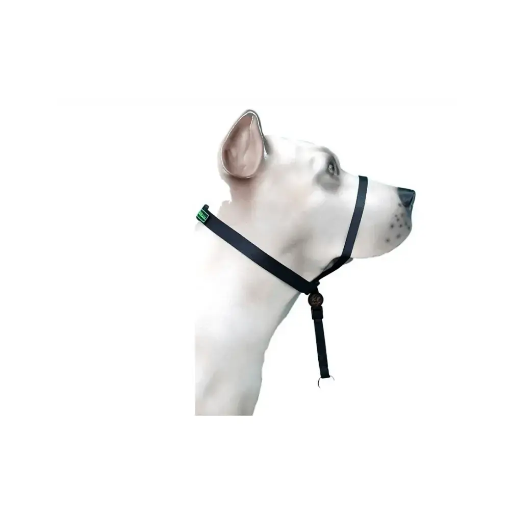 K9 Spirit Coleira Cabresto Gg Preta Un