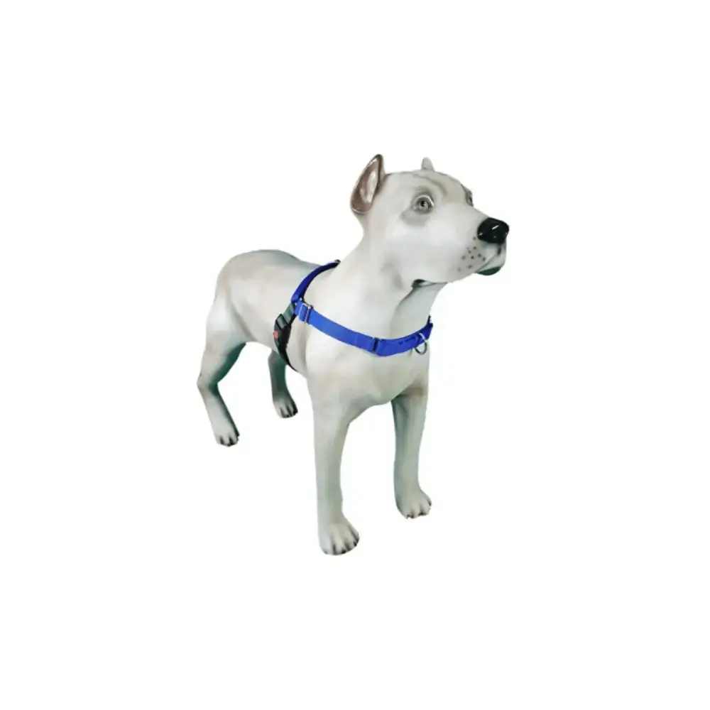 Peitoral Modelo Easy Walk Anti Puxão Azul
