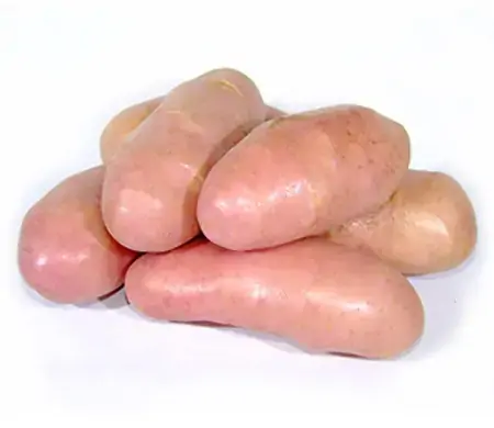 Batata Asterix Campo Vitoria 1kg