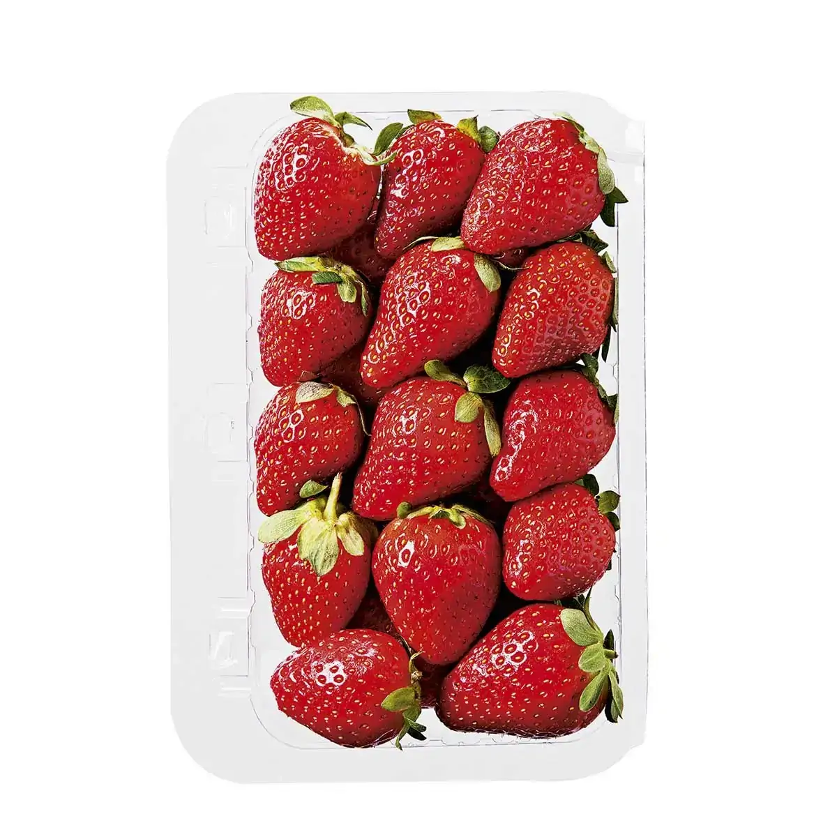 Morango Nacional Bandeja 300g