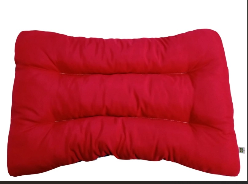 Almofada Arteiro 41x63 Vermelho Chumbo