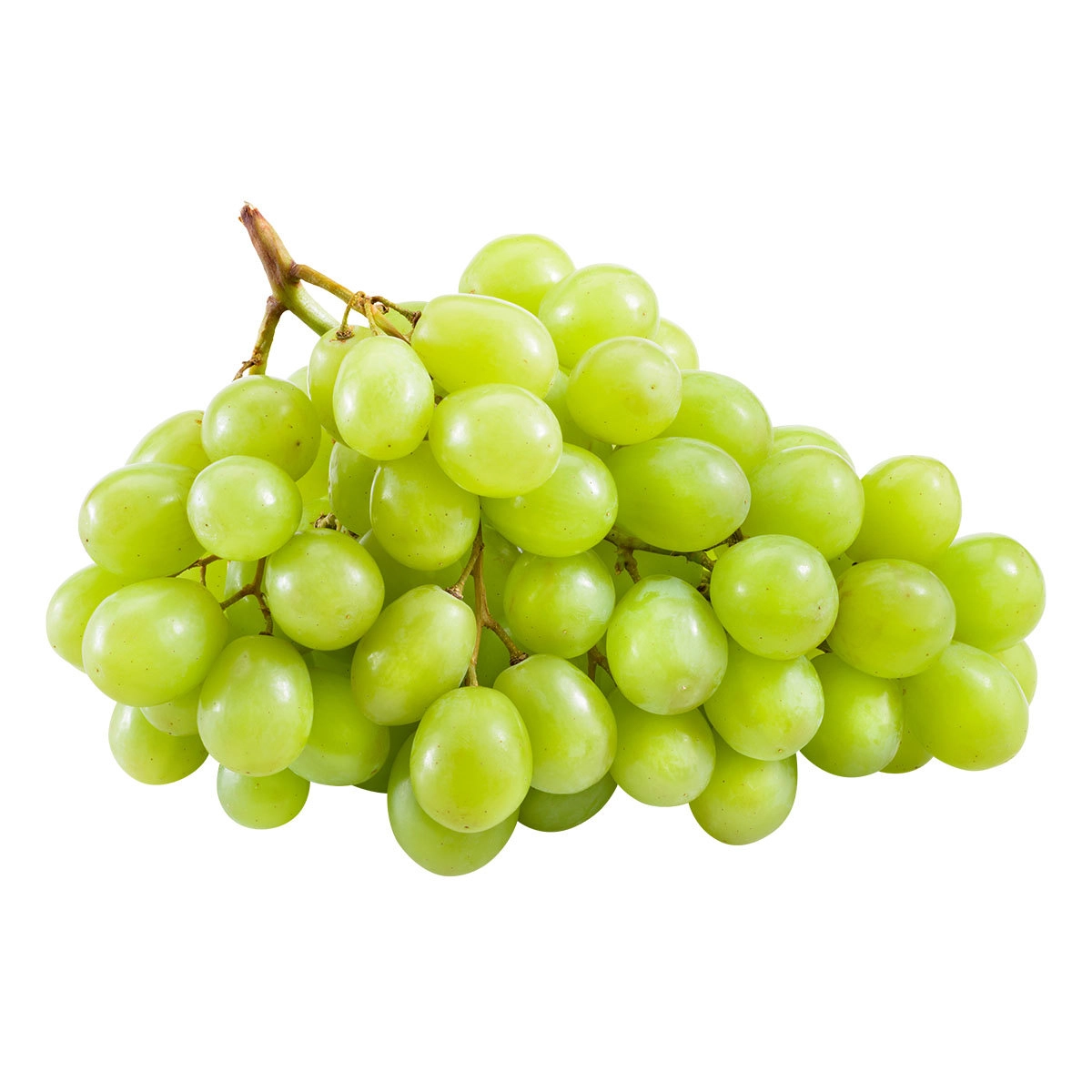 Uva Pilar Moscato Bdj 500g
