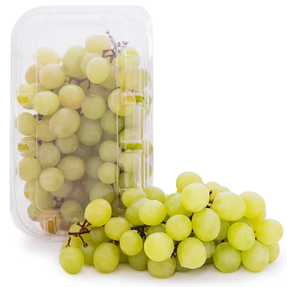 Uva Thompson Cotton Candy Bandeja 500g