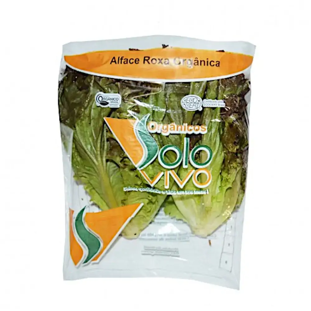 Alface Roxa Organica Solo Vivo Benassi