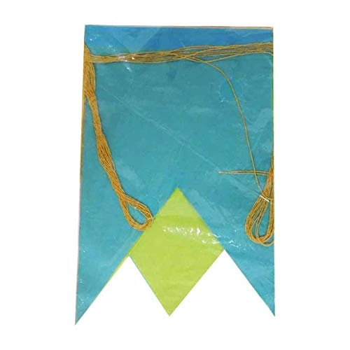 Bandeira Brasil 60x90cm C/haste