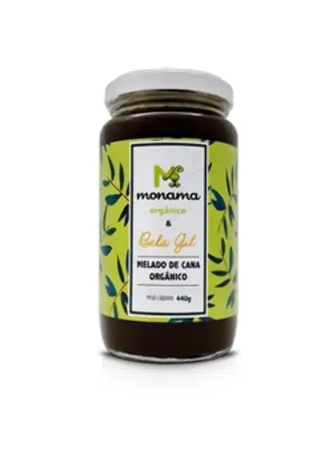 Melado De Cana Orgânico Bela Gil Monama 440g