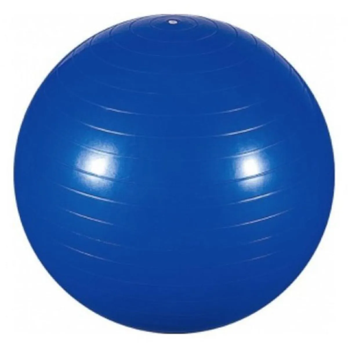 FG20 - Professional Fisioball Fisiopauher - Cor: Azul Tam: 65cm