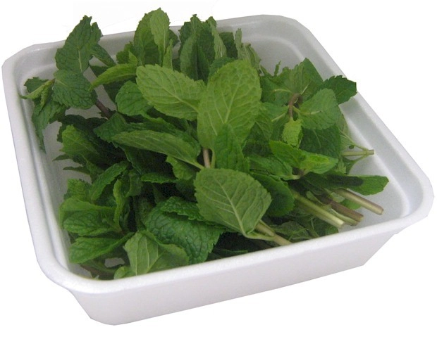 Hortelã Fresca Em Bandeja 30g