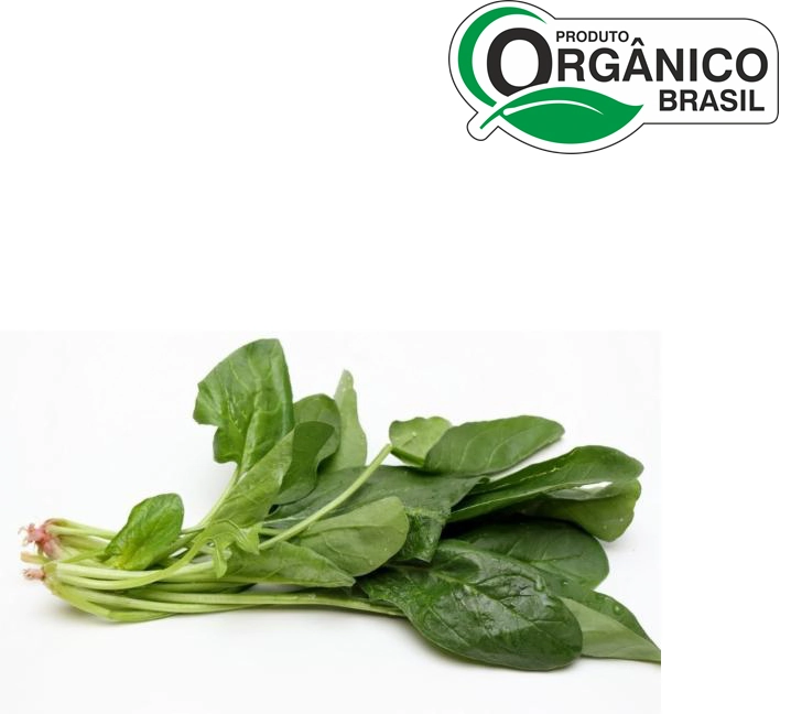 Espinafre Org 300g Sitio Novo Mundo
