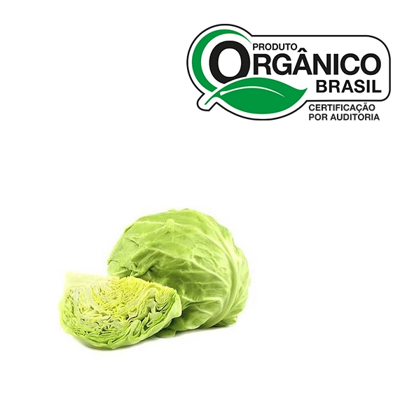 Repolho Verde Organico