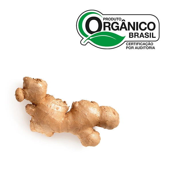 Gengibre Organico Go Green