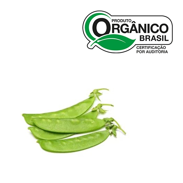 Ervilha Torta Organico Go Green