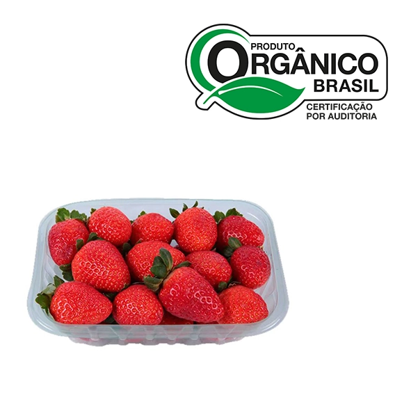 Fn Morango Org 250gr Go Green