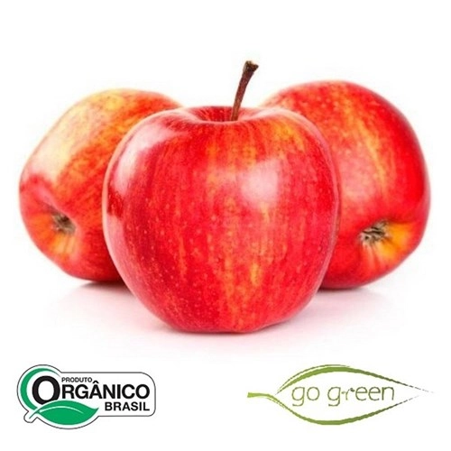 Maca Red Organica Bee Importada 500gr