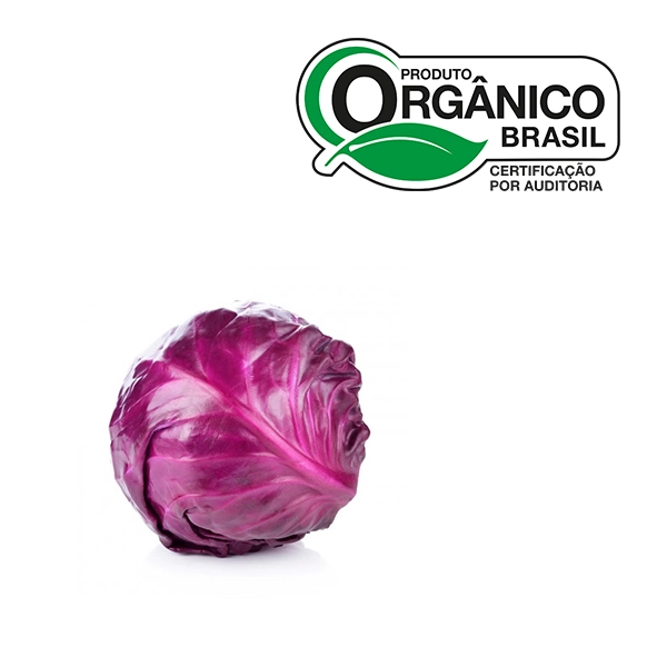 Repolho Roxo Organico