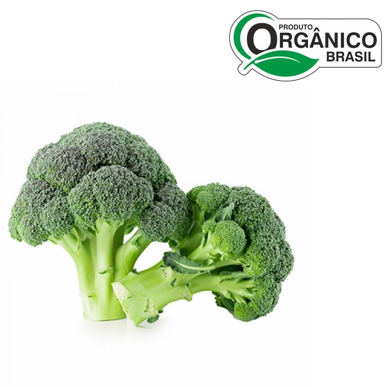 Brocolis Ninja Organico Go Green