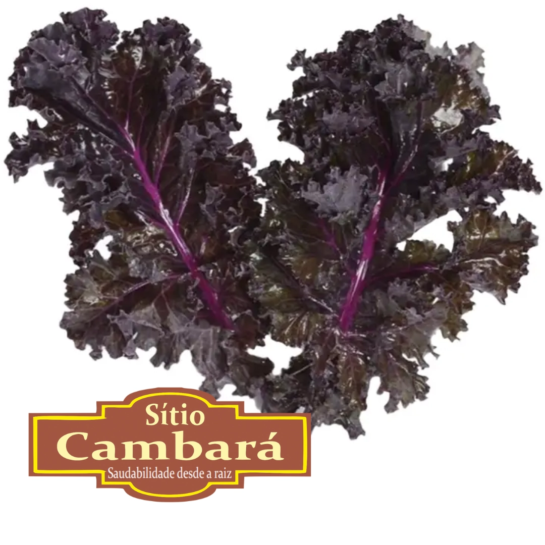 Couve Kale Roxa Org S Cambara 200gr